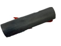 Honda 17153-RAA-A02