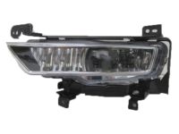 OEM Honda Accord Foglight Assembly, Left Front - 33950-T3V-A01