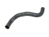 OEM 2020 Honda Accord Hose, Water (Lower) - 19502-6B2-A10