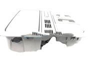 OEM 2011 Honda Odyssey Console Assy., Roof *NH686L* (LIGHT WARM GRAY) - 83250-TK8-A11ZB