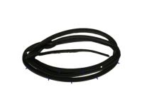 OEM Honda Weatherstrip, L. FR. Door - 72350-S84-A01