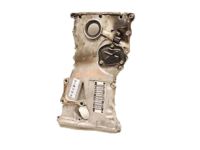 OEM 2006 Honda CR-V Case Assembly, Chain - 11410-PPA-000