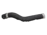 OEM 2020 Honda Accord Hose, Water (Upper) - 19501-6C1-A01