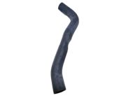 OEM Honda HR-V Hose, Water (Lower) - 19502-51B-H00