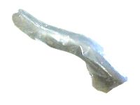 Honda 19124-5BA-A00