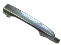 OEM 2014 Honda CR-V Handle, Passenger Side (Polished Metal Metallic) - 72141-TR0-A11ZE