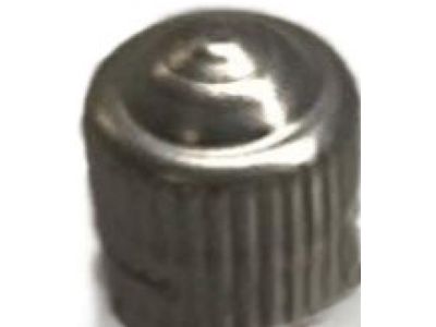 Nissan 40703-CD001 Cap-Tire Pressure