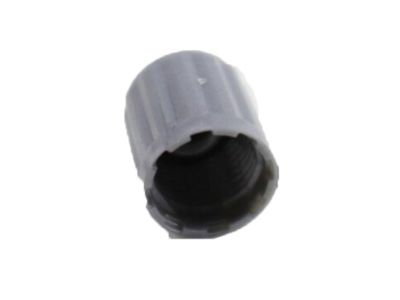 Nissan 40703-JK00B Cap-Tire Pressure