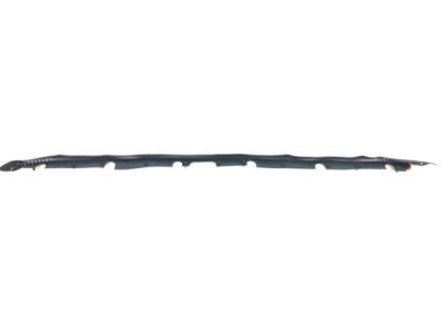 Infiniti 65820-5NA0A Seal Accessory Hood, Front