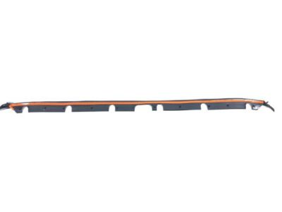 Infiniti 65820-5NA0A Seal Accessory Hood, Front
