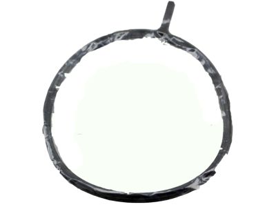 Nissan 16175-JK21A Gasket-Adapter