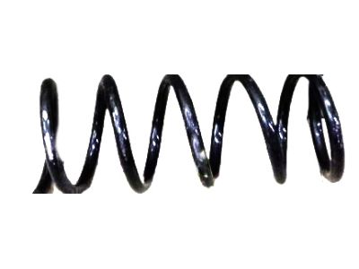 Nissan 55020-3JA0C Spring - Rear Suspension