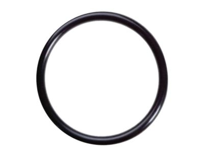 Infiniti 17342-01A00 Ring-O Fuel Gag