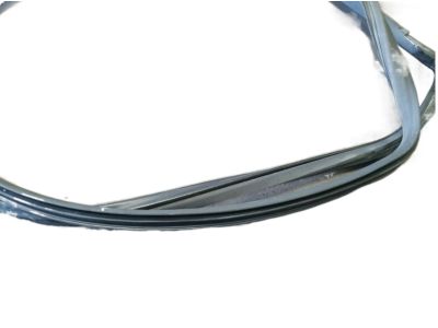Infiniti 76922-JU50A Welt-Body Side, Front LH
