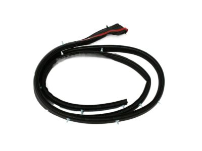 Nissan 80830-ZC00A WEATHERSTRIP Front Door RH