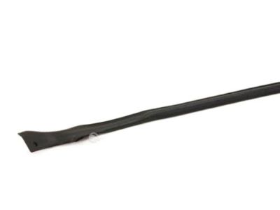 Infiniti 76861-AM800 Weatherstrip-Body Side, LH