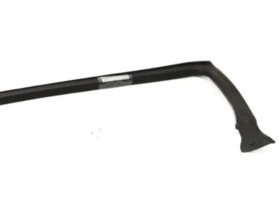 Infiniti 76861-AM800 Weatherstrip-Body Side, LH