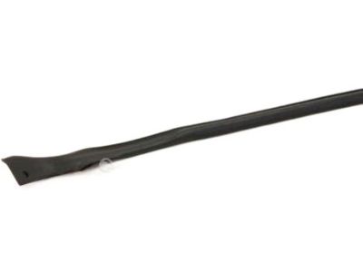 Infiniti 76861-AM800 Weatherstrip-Body Side, LH