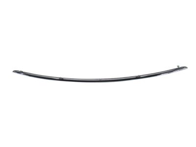 Infiniti 65834-EJ80A Moulding-Hood, Front