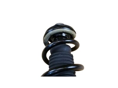 Infiniti E6110-4GC0C Shock Absorber-Front