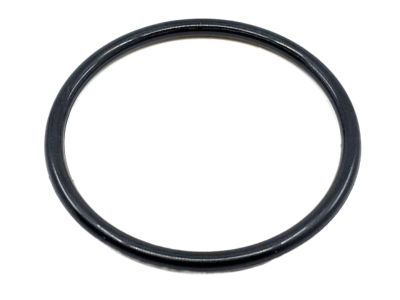 Nissan 17342-01L00 Ring-O Fuel