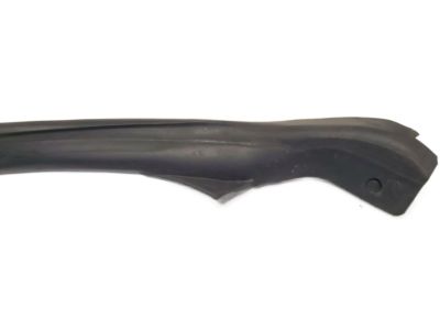 Infiniti 76860-AM800 Weatherstrip-Body Side, RH