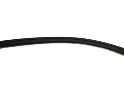 Infiniti 76860-AM800 Weatherstrip-Body Side, RH