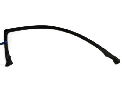 Infiniti 76860-AM800 Weatherstrip-Body Side, RH