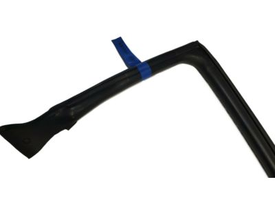 Infiniti 76860-AM800 Weatherstrip-Body Side, RH