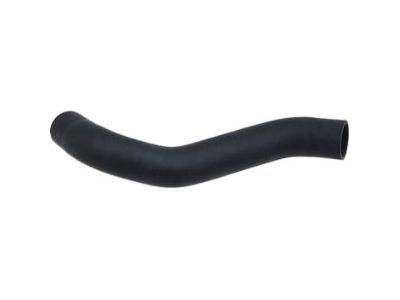 Infiniti 21503-AR000 Hose-Radiator, Lower