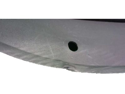 Infiniti 63133-5NA0A BAFFLE Plate-Front Fender, LH