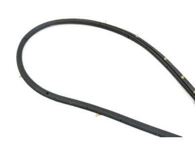 Infiniti 80831-5CA0A Weatherstrip-Front Door, LH