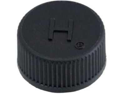 Nissan 92499-89920 Cap-Charge Valve