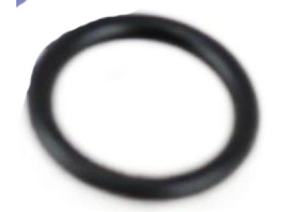 Infiniti 15066-ED010 Seal-O-Ring