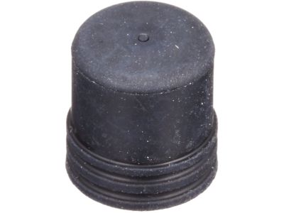 Nissan 41129-80Z0A Cap-Bleeder Screw