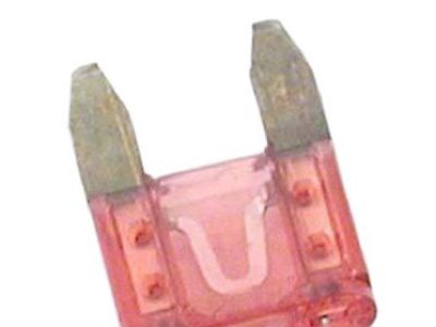 Nissan 24319-C9910 Fuse