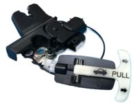 OEM 2012 Infiniti G37 Trunk Lid Lock Assembly - 84631-JK600