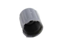 OEM 2018 Infiniti QX80 Cap-Tire Pressure - 40703-JK00B