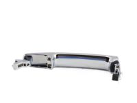 OEM 2005 Infiniti FX45 Grip-Outside Handle - 80640-CA012