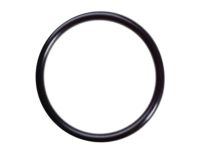 OEM Nissan Sentra Ring-O Fuel Gag - 17342-01A00