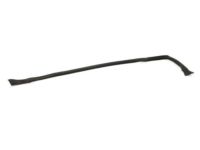 OEM Infiniti Weatherstrip-Body Side, LH - 76861-AM800