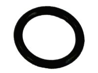 OEM 2020 Infiniti QX80 Seal-O Ring - 22131-EN205