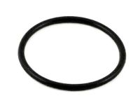 OEM Infiniti J30 Ring-O Fuel - 17342-01L00