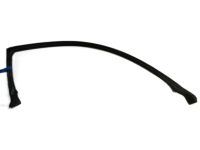 OEM 2003 Infiniti G35 Weatherstrip-Body Side, RH - 76860-AM800