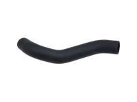 OEM 2004 Infiniti Q45 Hose-Radiator, Lower - 21503-AR000