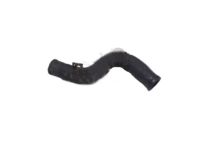 OEM Nissan NV2500 Hose Water - 21306-1LA0B