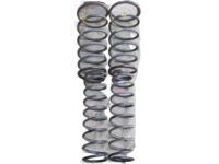 OEM 2000 Infiniti Q45 Front Spring - 54010-6P105