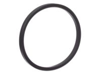 OEM 2017 Nissan Frontier Ring-Rubber - 21304-JA11A