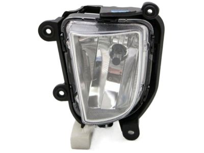 Kia 922011M310 Front Fog Lamp Assembly, Left