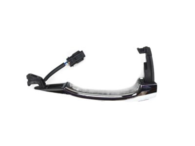 Kia 826513W710 Door Outside Handle Assembly, Left